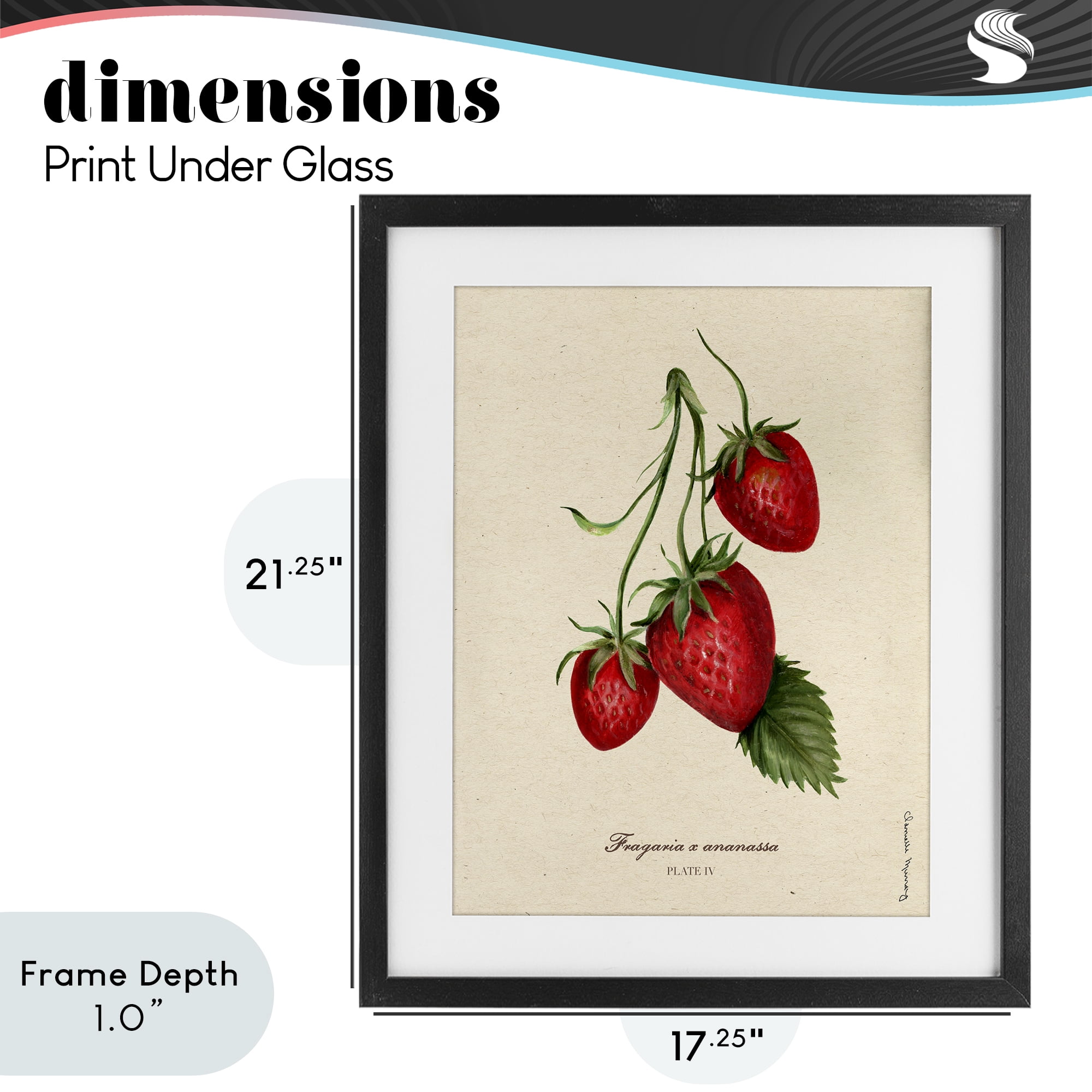 Stupell Industries Strawberry Fruit Portrait Black Framed Print Under Glass, design by Danielle Murray