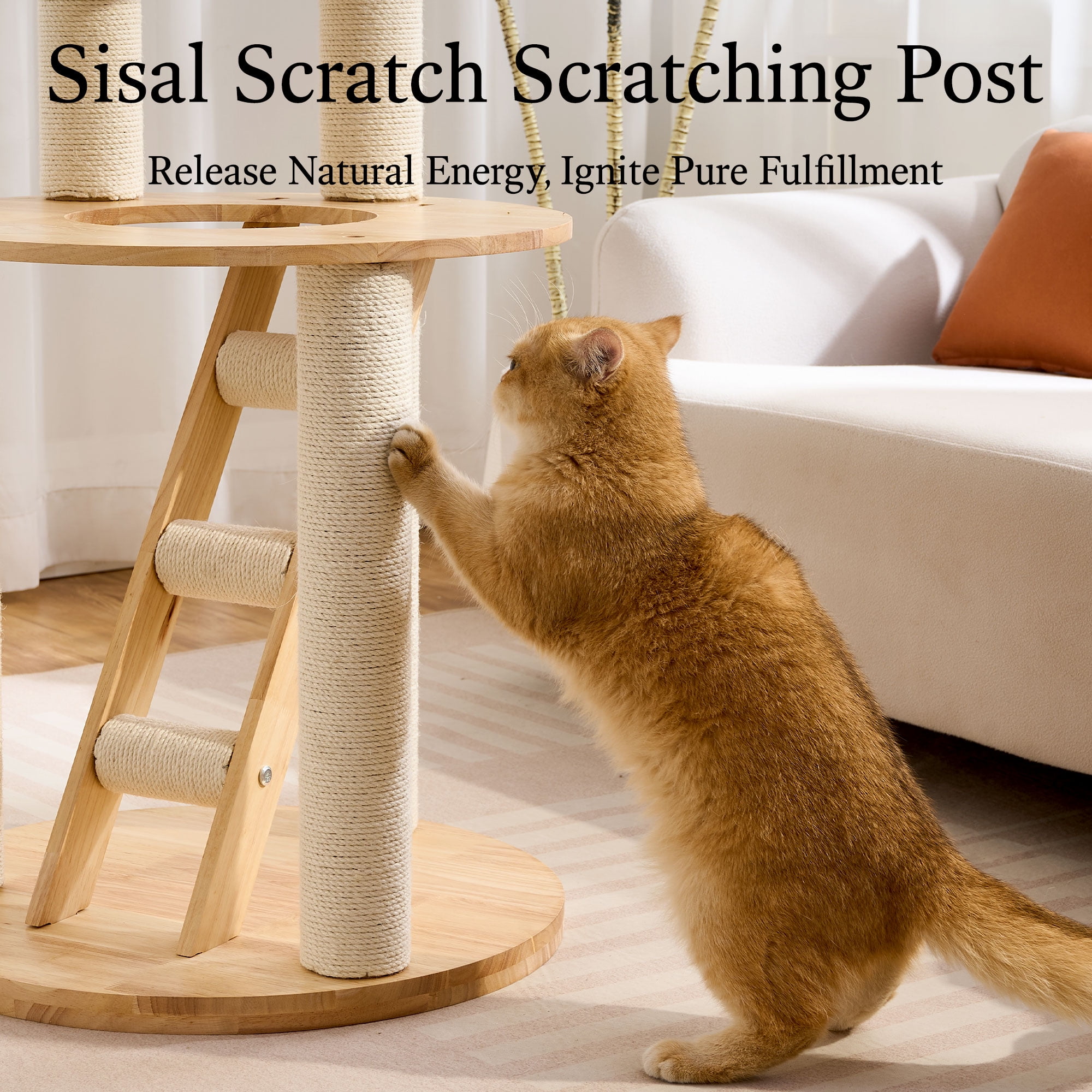 797Audio Solid Wood Cat Tree, 61" Large Modern Tall Cat Tower with Sisal Scratching Posts, Cat Condo, Capsule and Ladder, Aesthetic Multi-Level Cat Climbing Tree for Large Adult Indoor Adult Cats