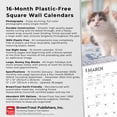 thumbnail image 6 of Maine Coon Cats | 2025 12x24" (Hanging) Square Wall Calendar | BrownTrout, 6 of 9