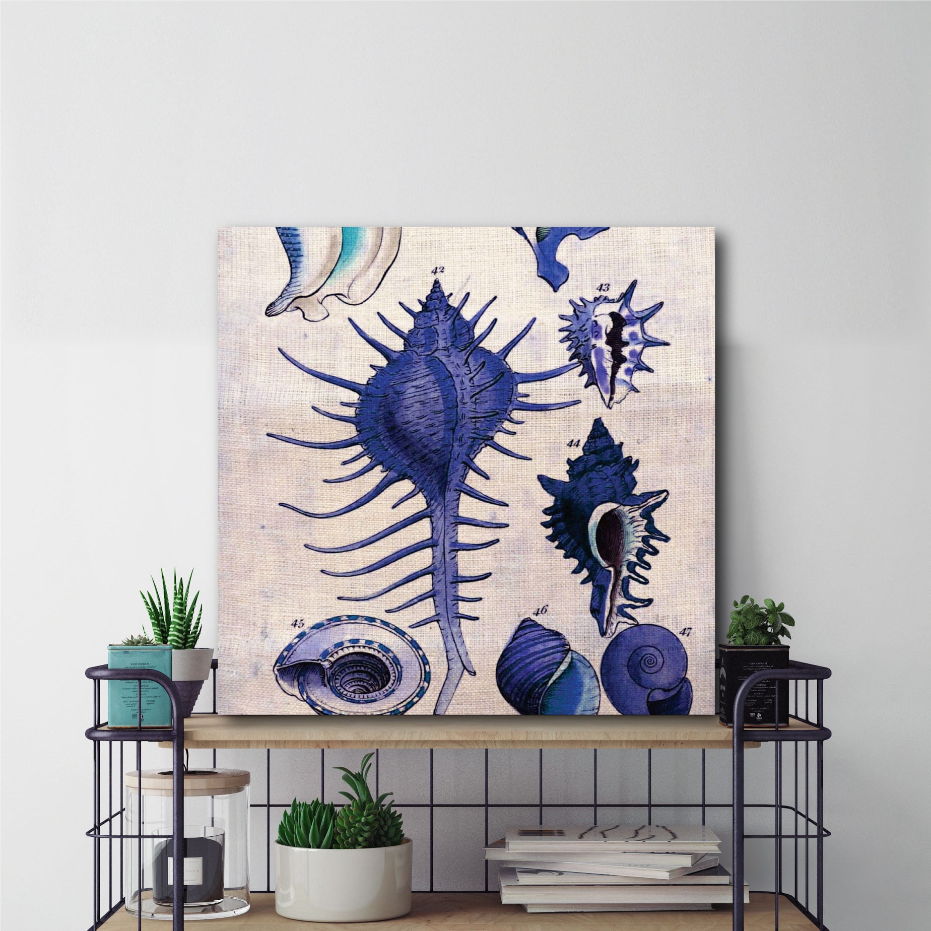 Blue Shells II Gallery-Wrapped Canvas Wall Art, 16x16