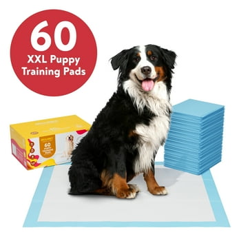 Brilliance Puppy Training Pads, 6-Ply Mess-Free Disposable Dog Pee Pads, XXL, 30” x 36”, 60-Pack
