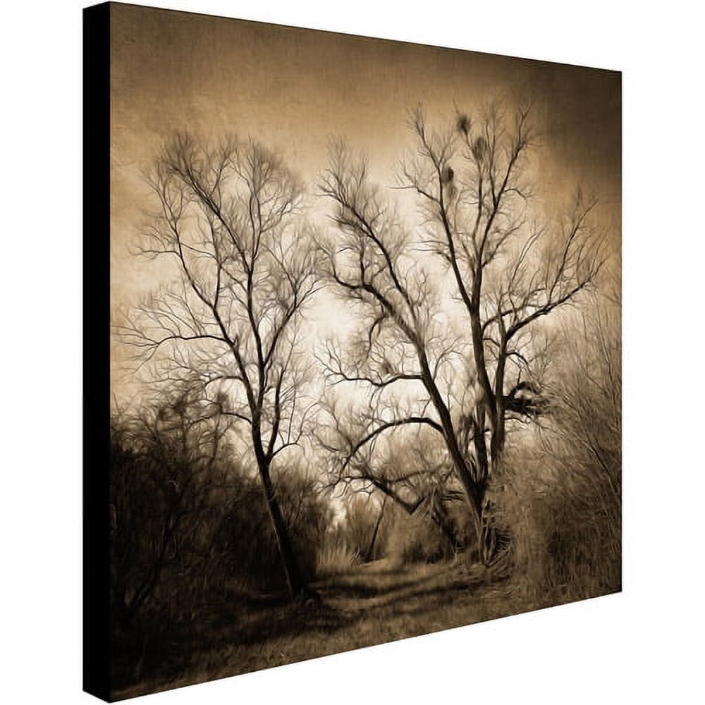Trademark Fine Art "Sepia Ghost" Canvas Art by Philippe Sainte-Laudy