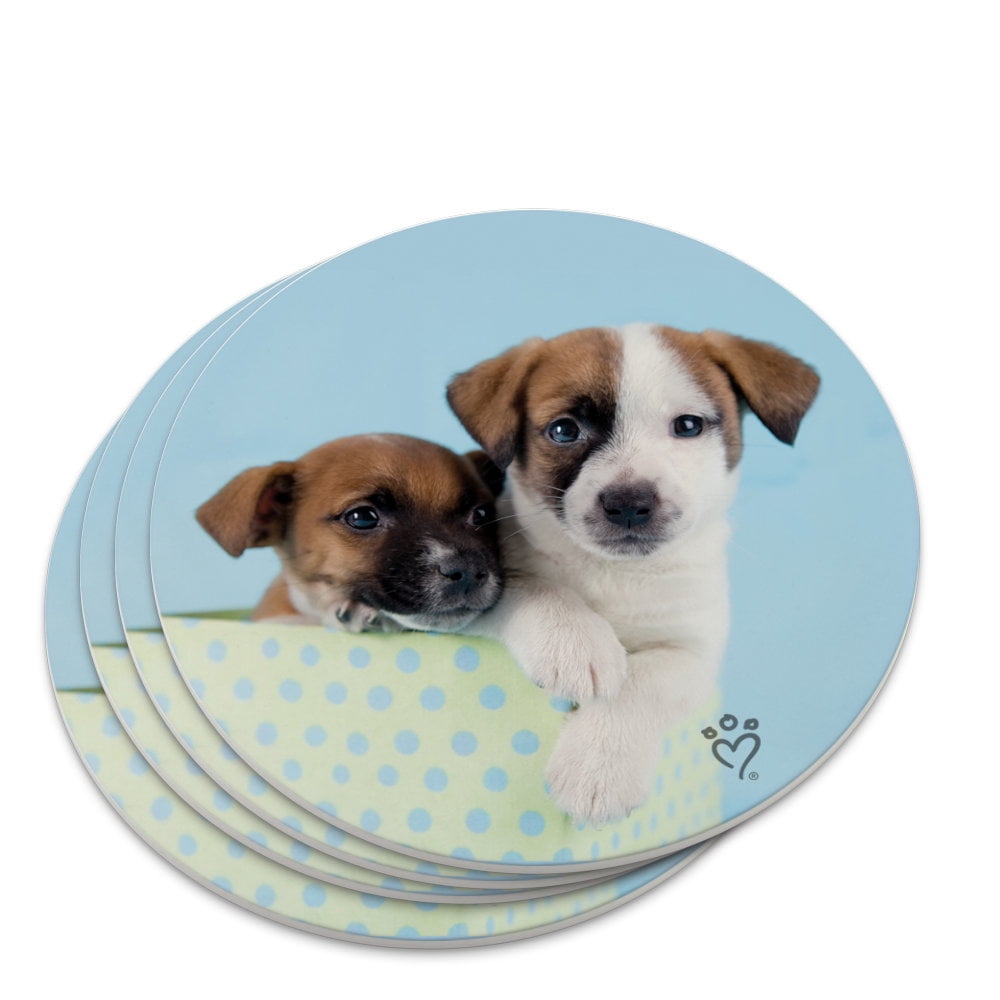 Jack Russell Terrier Puppies Dogs Gift Box Novelty Coaster Set