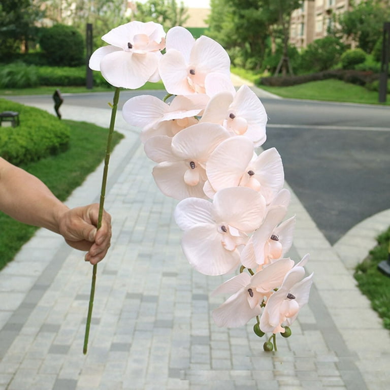 Big Clear!]Home DIY Artificial Butterfly Orchid Silk Flower