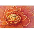 thumbnail image 2 of OToole, Tim 32x23 Gold Ornate Wood Framed with Double Matting Museum Art Print Titled - Micro Floral II, 2 of 4