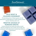 thumbnail image 3 of ScentSationals Scented Wax Cubes Value Pack - Wild Mint & Crushed Rosemary, 3 of 4