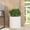 Antique White, variant on Weather Resistant Magnesium Oxide Garden Urn Planter for Outdoor Patio - 15.5x11.25x19.25 Inch Grey