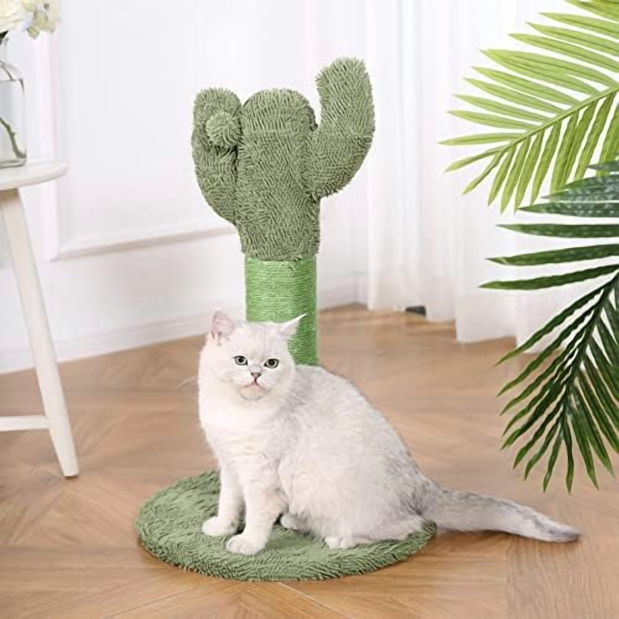Basics Cat Scratching Post, Indoor Cactus with Natural Sisal for Kittens with Dangling Ball Toy, Medium, 25.6"H, Green