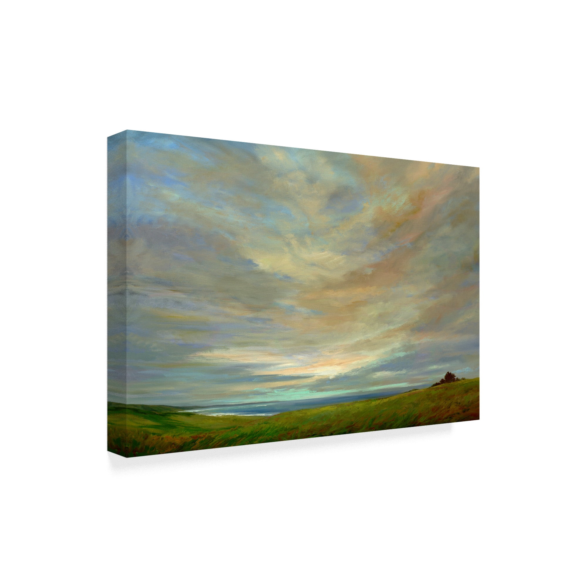 Trademark Fine Art 'Coastal Sky' Canvas Art by Sheila Finch