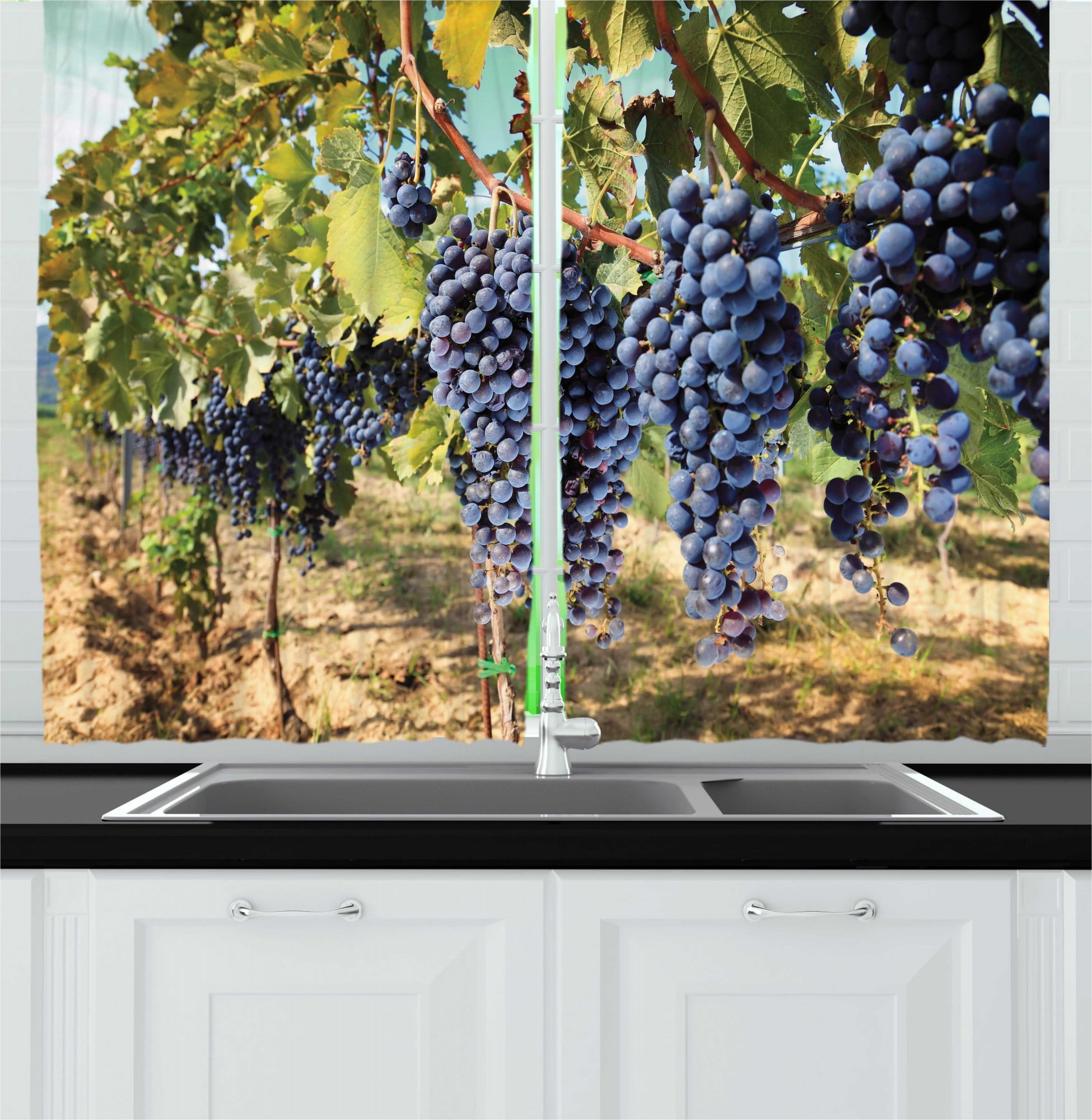 Grape Kitchen Curtains, Rows of Wine Fruits in Tuscany Italy Organic
