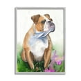 thumbnail image 5 of Stupell Industries English Bulldog Grassy Florals Soft Watercolor Portrait Grey Framed, 11 x 14, Design by George Dyachenko, 5 of 5