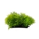thumbnail image 1 of Accesorios para tanque de peces de acuario decoración de hierba verde planta de agua de plástico Artificial ANGGREK Otros, 1 of 8