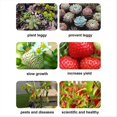 thumbnail image 2 of Full Spectrum Plants Grow Light Auto On/Off LED Lamp 2 skewers, 2 of 5