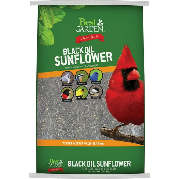 Best Garden 40 Lb. Black Oil Sunflower Wild Bird Seed 90057