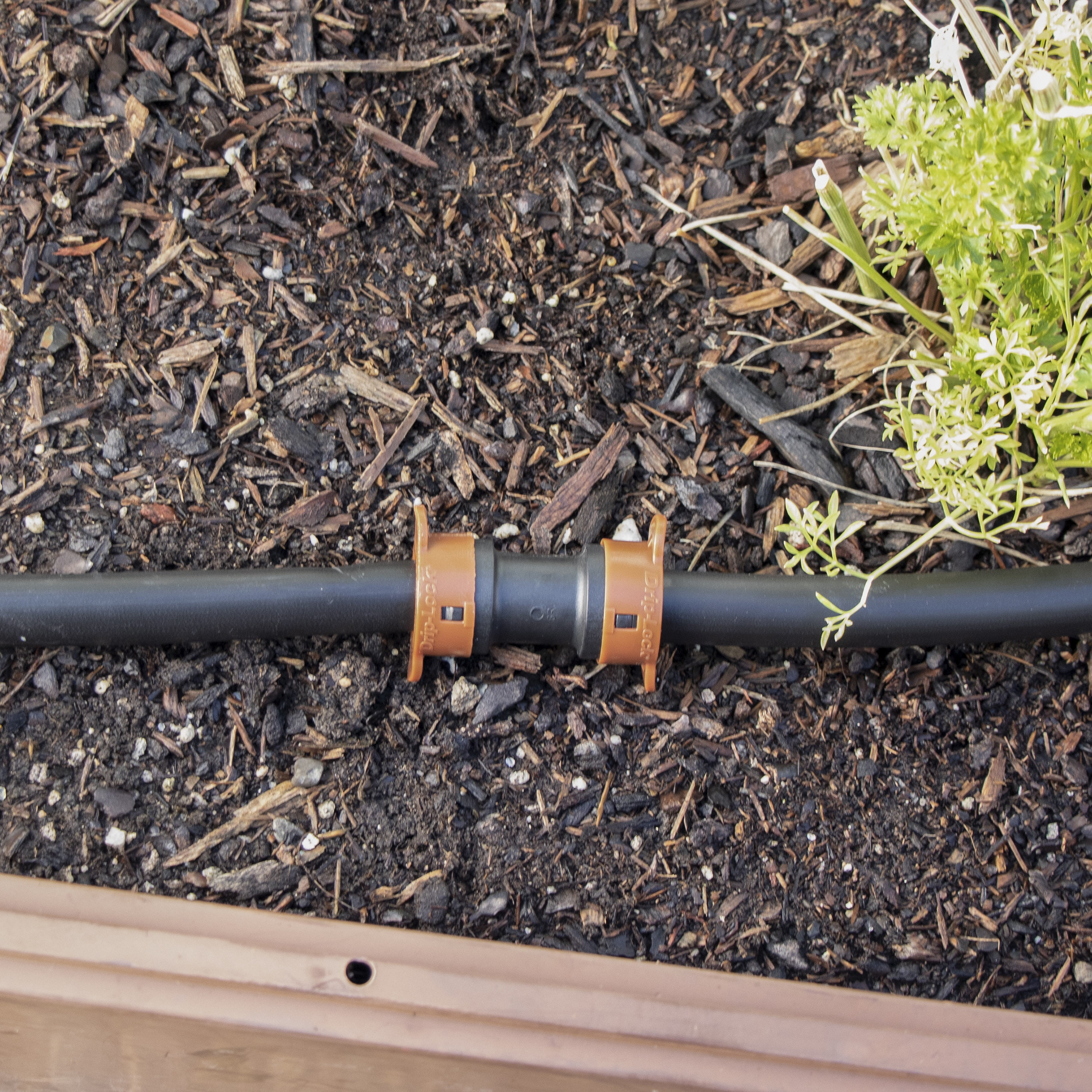 Orbit Irrigation 1/2" Drip-Lock Drip Irrigation Coupling