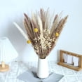 thumbnail image 2 of Ramo de flores de caña de phragmites, hierba de la pampa seca rústica Queen para jarrón. A, 2 of 9
