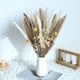 thumbnail image 2 of Hierba de la pampa seca Phragmites Junco Ramo de flores Mesa para el hogar Decoración de otoño Regalo A A, 2 of 9