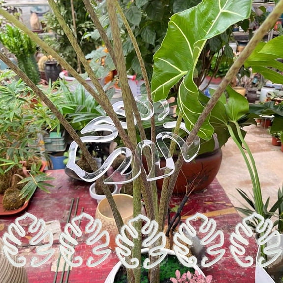 Clear Monstera Plant Support Clips - Flexible & Aesthetic Stem Trellis for Indoors - (5-Pack)