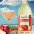 thumbnail image 3 of Pack de 12 Licor Boones Delicious Apple 750 ml Boones Delicious Apple, 3 of 3