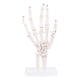 thumbnail image 1 of Hand Joint Anatomical Skeleton Model Human Medical Anatomy Study Tool Life Size, 1 of 5