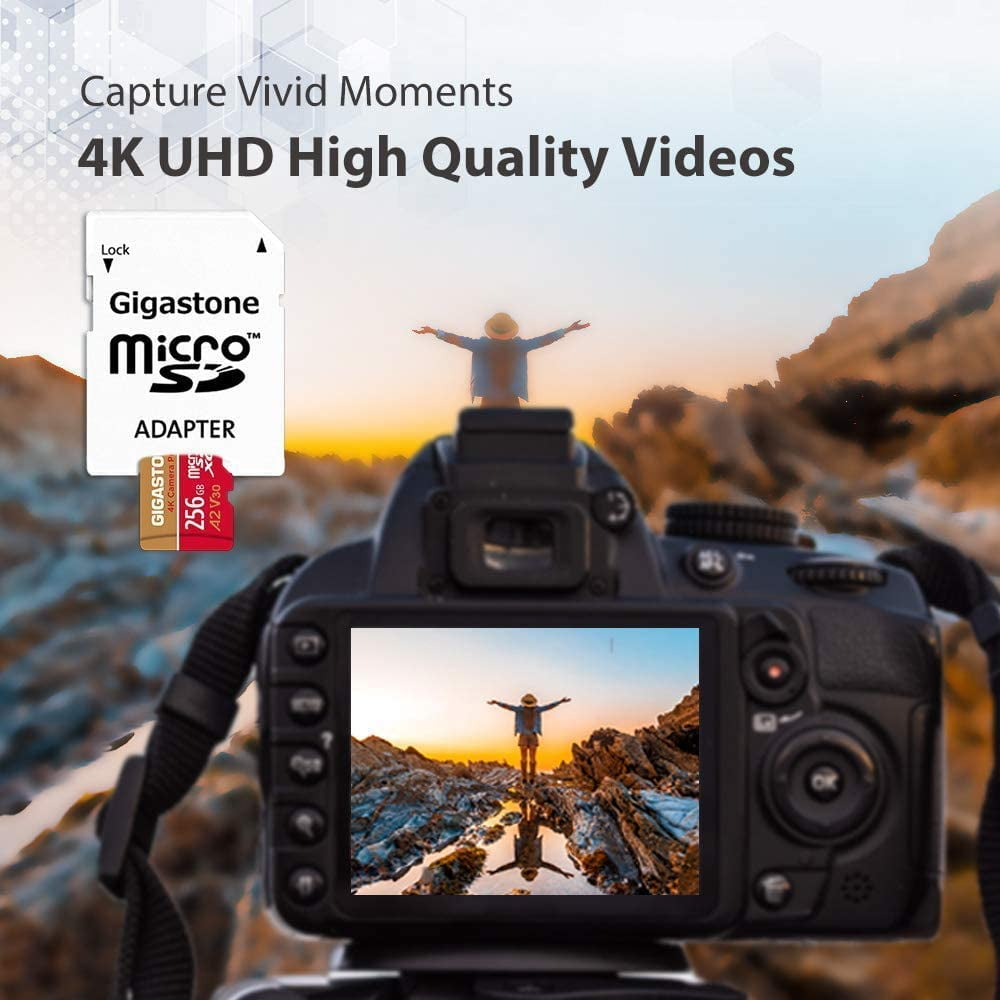 Gigastone 4K Class10 U3 A2 V30 Camera Pro MicroSDXC Card, 256GB GS-2IN1-4KA2V30-256GB-R