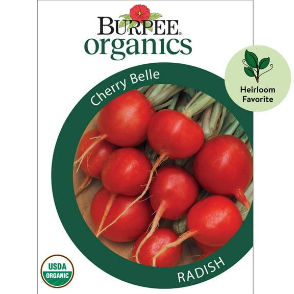 Burpee Organics Cherry Belle Radish Seeds - Non-GMO, Heirloom Organic Vegetable Gardening Seeds, 4.6g, 1-Pack
