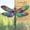 Summer Parade, variant on Dragonfly Gifts For Women Dragonflies Decor Suncatcher Effect Dragon Fly Stained Glass Ornaments Christmas Tree Decoration Mom (radiant Prism)
