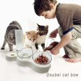 thumbnail image 5 of Gatos Cuencos, Cuenco Doble Elevado para Gatos, Dispensadores de Agua y Comida 3 en 1 para Mascotas, Inclinado a 15° Antivómitos, Antideslizante, para Gatos y Perros, 5 of 5