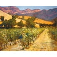 thumbnail image 2 of Philip Craig 24x20 Gallery Wrapped Canvas Wall Art Titled - Wine Country, 2 of 4