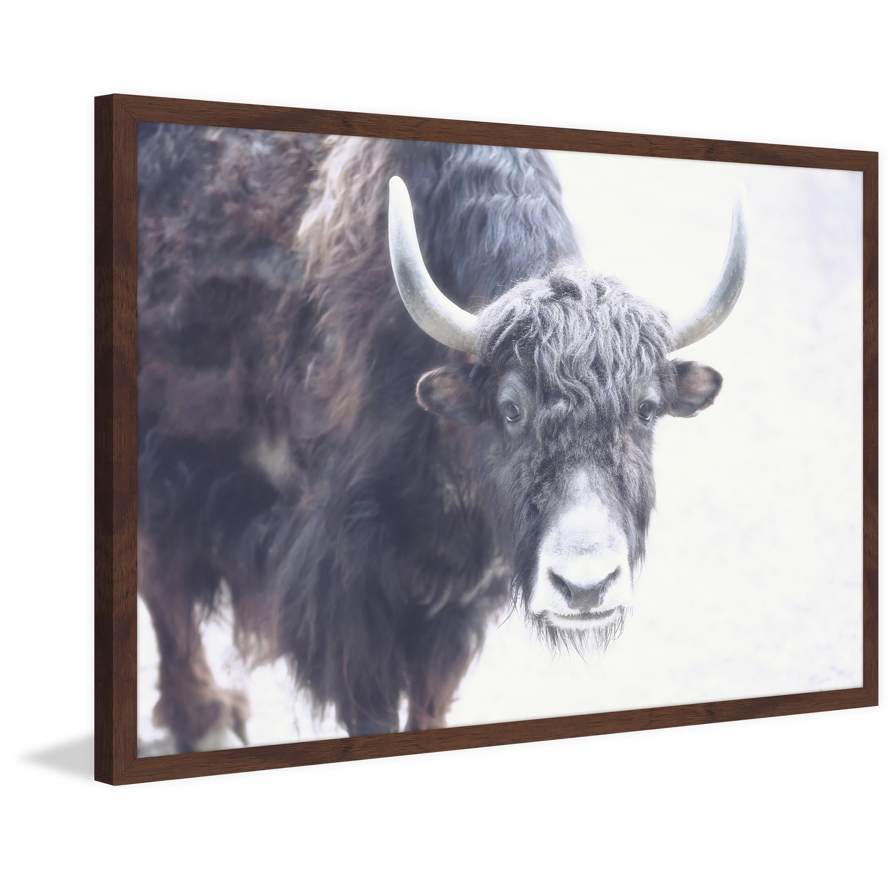 Marmont Hill "Suspicious Gaze" Framed Painting Print