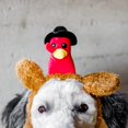thumbnail image 2 of Diadema para perro Midlee Pilgrim Turkey Thanksgiving, 2 of 9