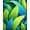 Green, Pattern 8, variant on ODIKA 4'x6' Machine Washable Non-Slip Area Rug, Radiant Undersea Wonderland with Lively Fish Shoals and Coral High Traffic Rug, Blue, 70890