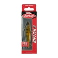 thumbnail image 5 of Berkley Ripfish, 9, Perch, 5 of 5