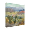 thumbnail image 2 of Julia Purinton 'High Desert II' Canvas Art, 2 of 4