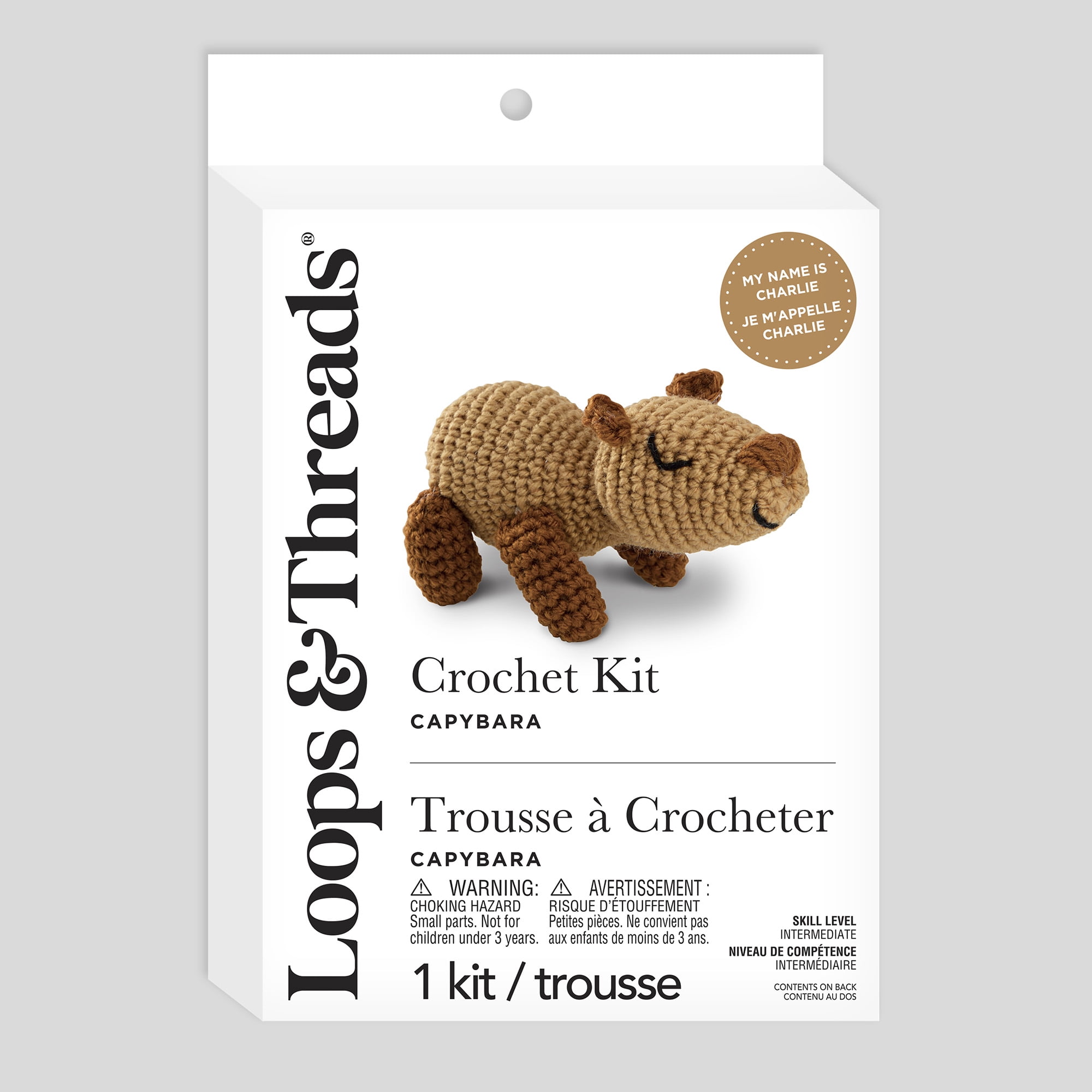 Intermediate Capybara Amigurumi Crochet Kit by Loops & Threads – DIY Stuffed Animal Craft Set with Yarn - Fiberfill - Hook & Instructions - Intermediate Skill Level - Makes 5.1" Plush - 6 Pack
