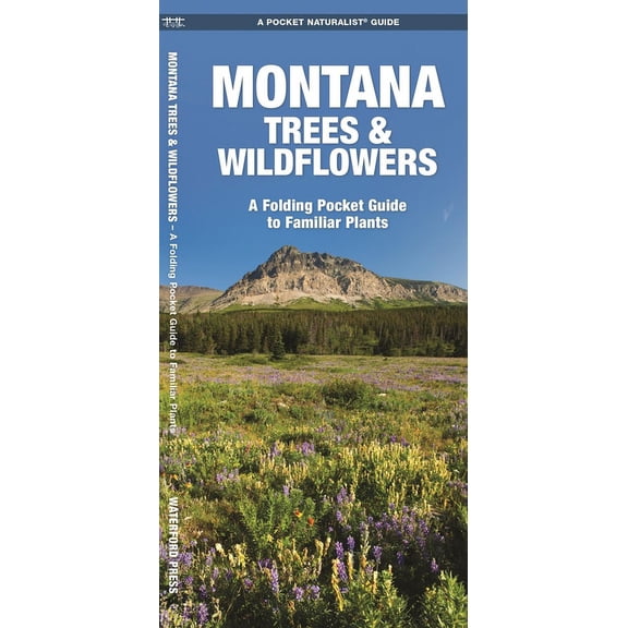 Pocket Naturalist Guides: Montana Trees & Wildflowers: A Folding Pocket Guide to Familiar Species (Other)