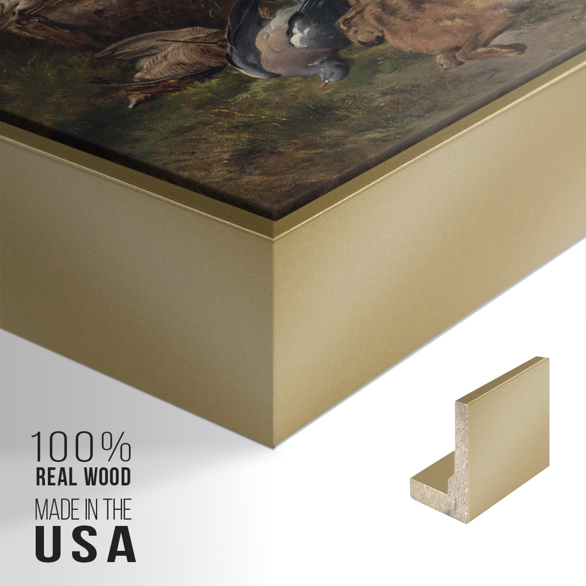 Vintage Animal Print-XIV By Wexford Home Framed in Gold Wood Gallery Wrapped Canvas 17 in. x 25 in.