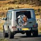 thumbnail image 5 of Fotbe Four Running Horses Funda de Llanta de Repuesto con Estampado, Engrosada, Ajuste Universal para Jeep, Remolque, RV, SUV, Camión-16 inch, 5 of 6