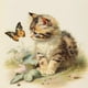 thumbnail image 1 of (A3703) Resina Con Gatito Y Mariposa Serie 30x30CM, 1 of 9