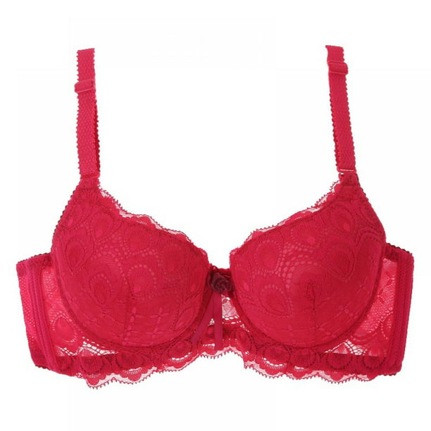 Saient - Saient Ladies Lace Brassiere Push Up Lace Embroidered Bow 3/4 ...