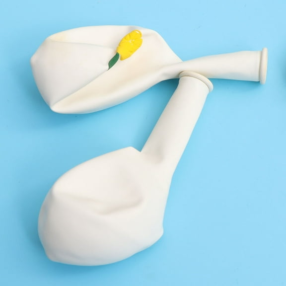 Moluckfu Reusable Latex Balloons Multi 10Pcs 12Inch