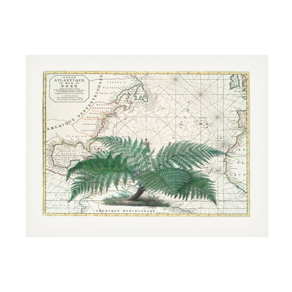 Trademark Fine Art Andrea Haase Tropical Empire No4 Canvas Wall Art