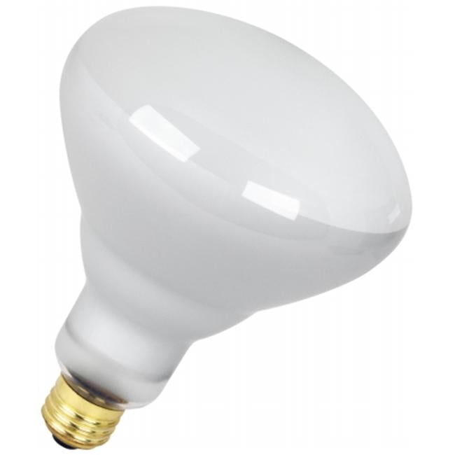 65 Watt Recessed Flood Reflector Light Bulbs