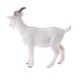 thumbnail image 3 of Realista Plástico Granja Selva Animal Juguete Juego Sunnimix  Juguete de la figura animal, 3 of 6