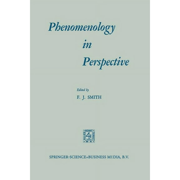 Phenomenology in Perspective, (Paperback)