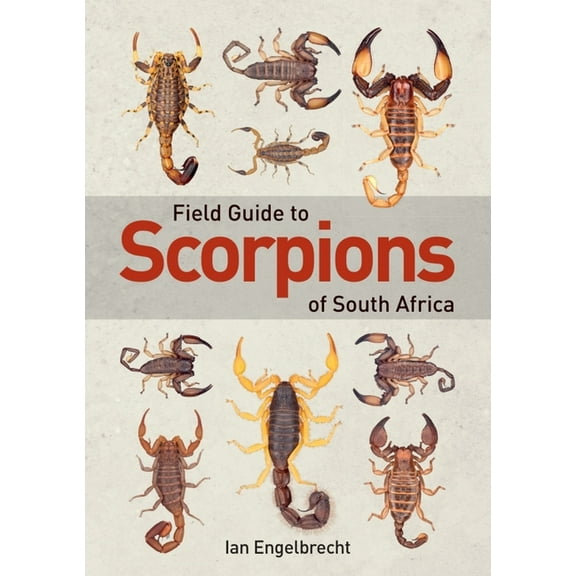 Field Guide to Scorpions of South Africa, (Paperback)