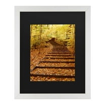 Trademark Fine Art 'Fall Stairway' Canvas Art by Kurt Shaffer