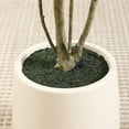 thumbnail image 4 of 5ft Fake Plastic Olive Tree with Oval White Planter, Pre Potted Faux Greenry Plant for Home Decor Office House Living Room Indoor Outdoor, Big Fake Plants Fake House Plants, 4 of 7