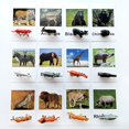 thumbnail image 2 of Montessori Zoo Safari Animal Match MEROCO con 12 figuras, 2 of 8