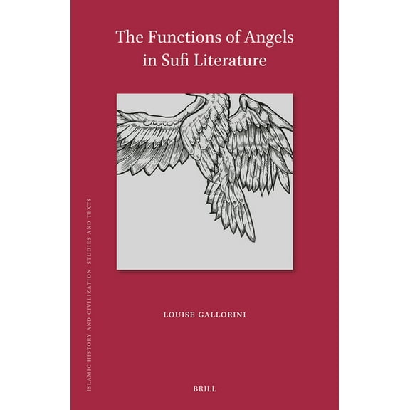 Islamic History and Civilization The Functions of Angels in Sufi Literature, Book 218, (Hardcover)